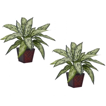 Nearly Natural Silver Queen Silk Plant -Set of 2, 2PK 6694-S2